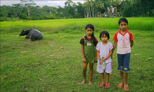 Three sisters with buffalo